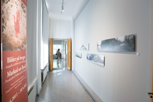 brinkkalan galleria