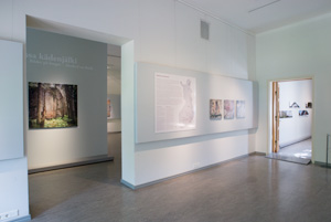 brinkkalan galleria