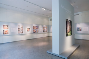 brinkkalan galleria