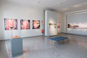 brinkkalan galleria