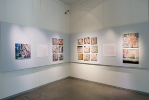 brinkkalan galleria