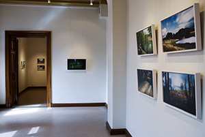brinkkalan galleria