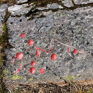 h&ouml;gsbyn