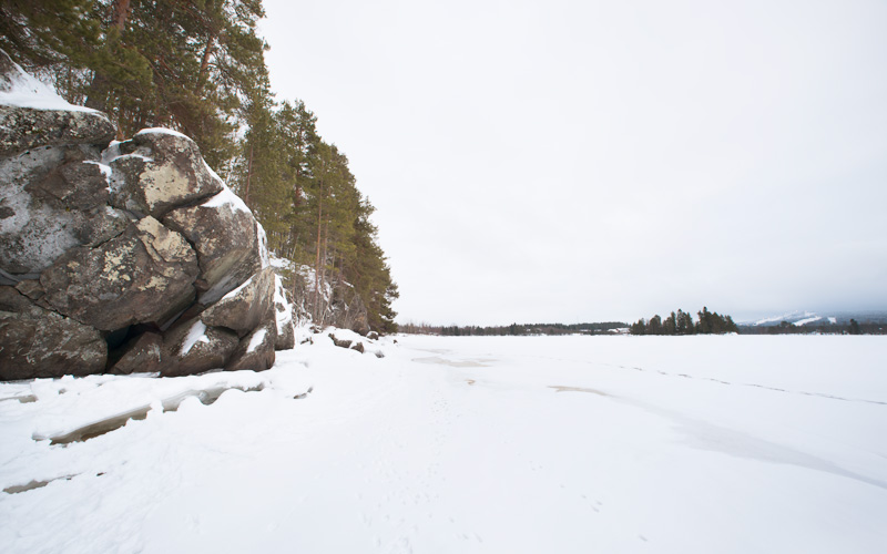 Halolankallio