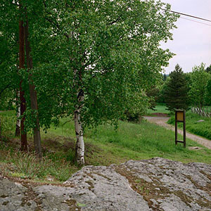 kuva