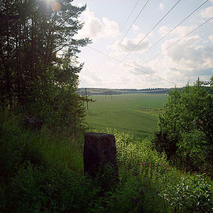kuva