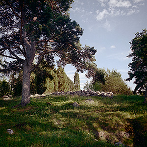 kuva