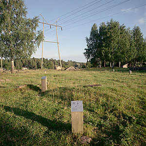 kuva