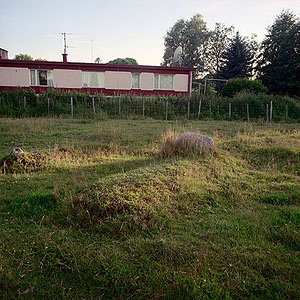 kuva