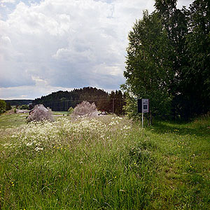 kuva