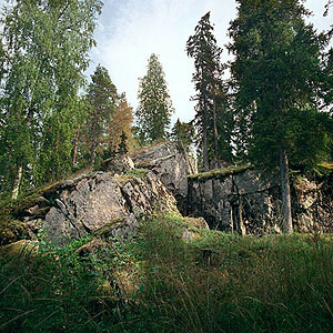 kuva