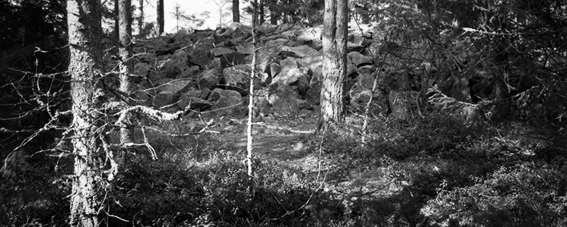 reposaari
