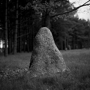 j&auml;rnsida